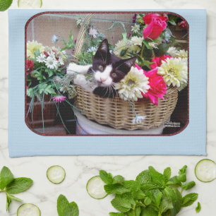 Kitten in een mand theedoek
