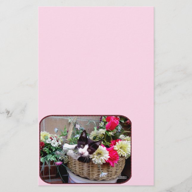 Kitten in een mandje (Voorkant)