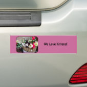 Kitten in een mandje bumpersticker (Op auto)