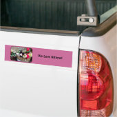 Kitten in een mandje bumpersticker (Op Truck)