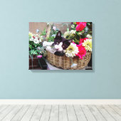 Kitten in een mandje canvas afdruk (Insitu (Houten vloer))
