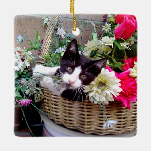 Kitten in een mandje keramisch ornament (Voorkant)