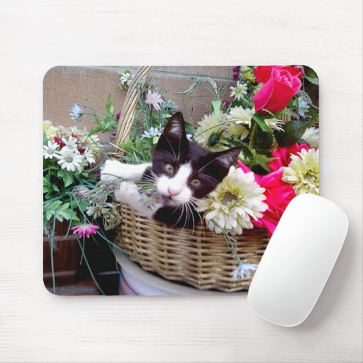 Kitten in een mandje muismat (Met muis)