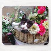 Kitten in een mandje muismat (Voorkant)