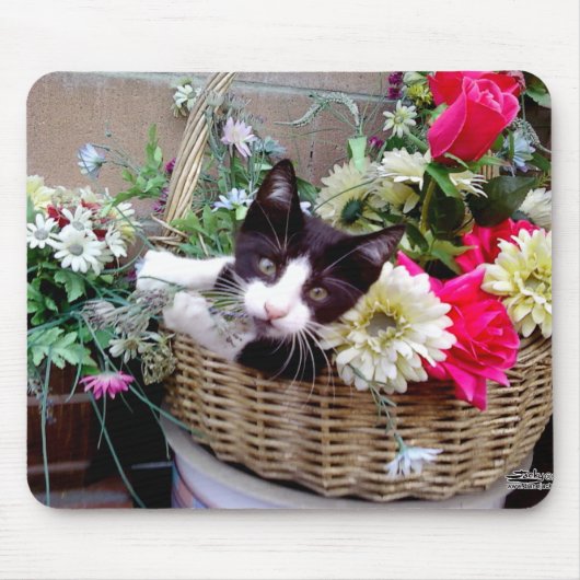 Kitten in een mandje muismat (Voorkant)