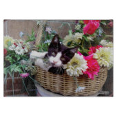 Kitten in een mandje snijplank (Voorkant)