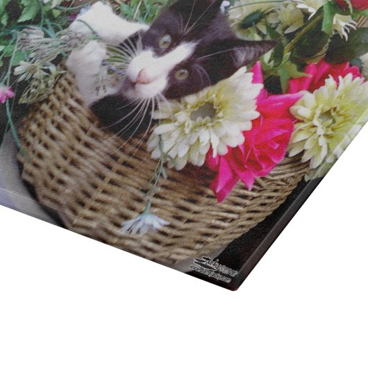 Kitten in een mandje snijplank (Hoek)