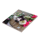 Kitten in een mandje tegeltje (Zijkant)