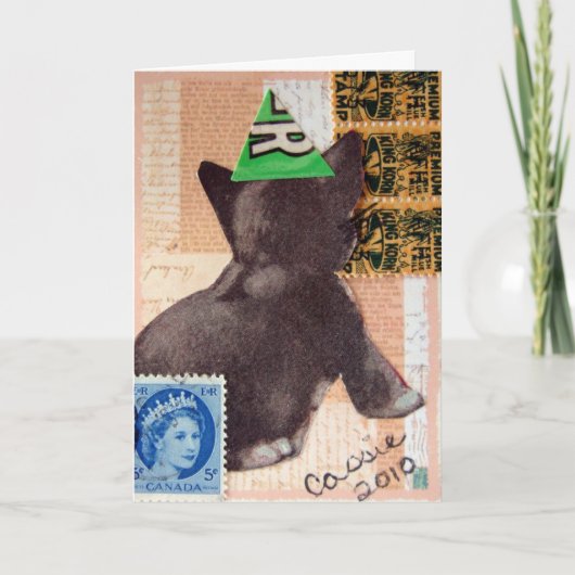 Kitten in een Pet van een partij Kaart (Voorkant)