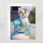 Kitten in een schop briefkaart (Voorkant / Achterkant)