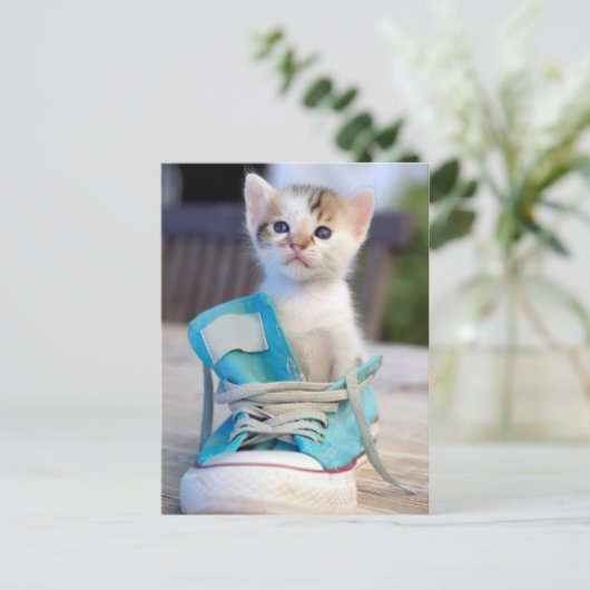 Kitten in een schop briefkaart (Staand voorkant)