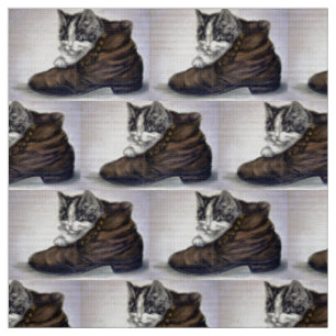 Kitten in een schop stof