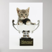 Kitten in een trofee poster (Voorkant)