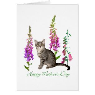 Kitten in Foxhandves-Moederdag-kaart