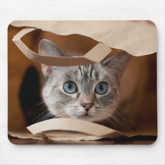 Kitten in Grocery Bag Muismat (Voorkant)