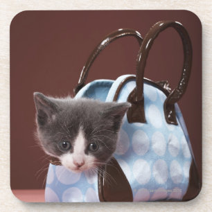 Kitten in handtas drankjes onderzetter