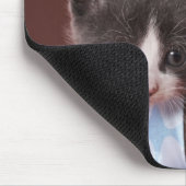 Kitten in handtas muismat (Hoek)
