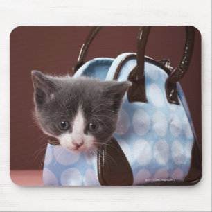 Kitten in handtas muismat