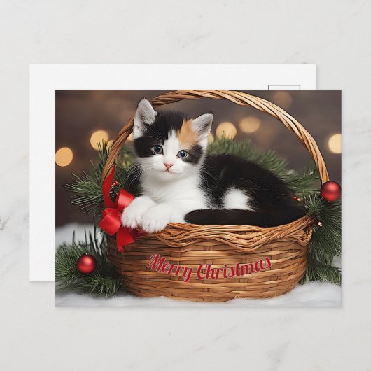 Kitten in het mandje feestdagenkaart (Voorkant / Achterkant)