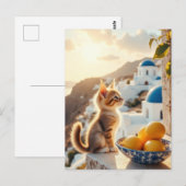 kitten in Italië Briefkaart (Voorkant / Achterkant)