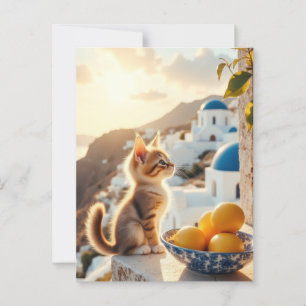 kitten in Italië Briefkaart
