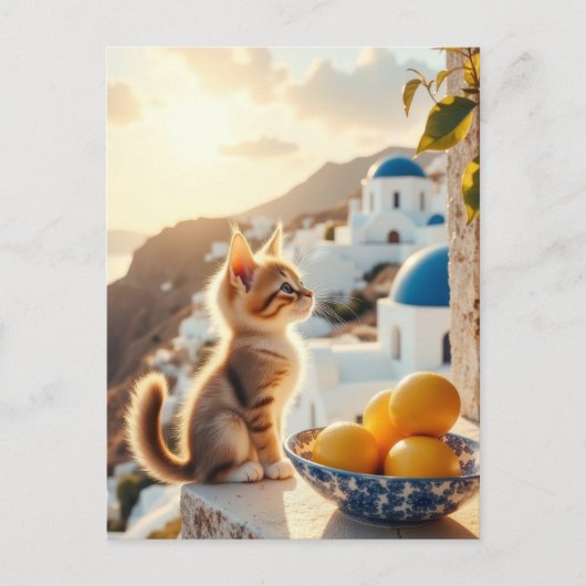 kitten in Italië Briefkaart (Voorkant)