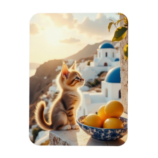 kitten in Italië Magneet (Verticaal)