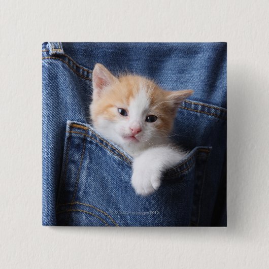 kitten in jeans tas vierkante button 5,1 cm (Voorkant)