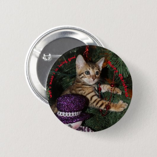 Kitten in kerstboom ronde button 5,7 cm (Voorkant /achterkant)