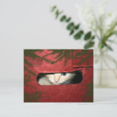 Kitten in kerstbox feestdagenkaart (Staand voorkant)