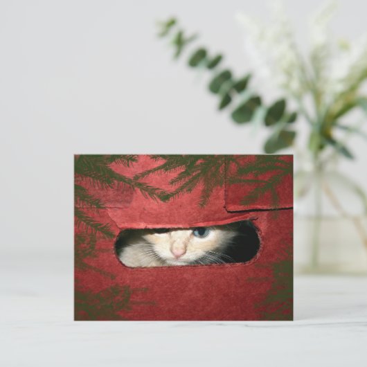 Kitten in kerstbox feestdagenkaart (Staand voorkant)