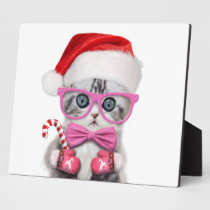 Kitten in kerstpet fotoplaat