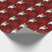 Kitten in Poinsettias Kerstmis Cadeaupapier (Hoek)