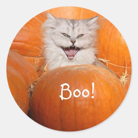 Kitten in pompoenen ronde sticker (Voorkant)