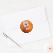 Kitten in pompoenen ronde sticker (Envelop)