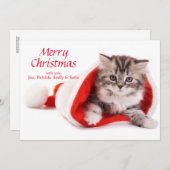 Kitten in Santa Hat Feestdagenkaart (Voorkant / Achterkant)
