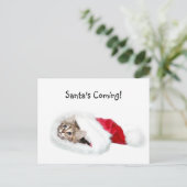 Kitten in Santa Hat Feestdagenkaart (Staand voorkant)