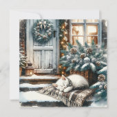 Kitten in slaap op feestelijke veranda Kerstmis Feestdagenkaart (Voorkant)