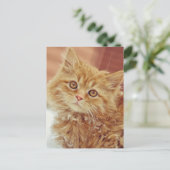 Kitten in sneeuw briefkaart (Staand voorkant)