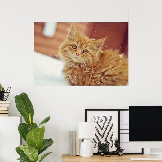 Kitten in sneeuw poster (Thuiskantoor)