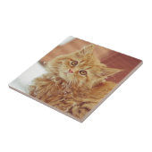 Kitten in sneeuw tegeltje (Zijkant)