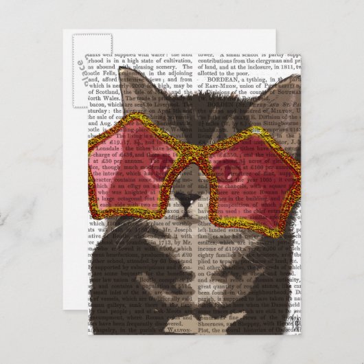 Kitten in Star Sunglazen Briefkaart (Voorkant / Achterkant)
