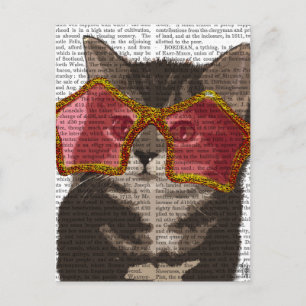 Kitten in Star Sunglazen Briefkaart