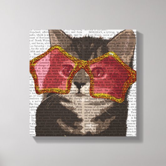 Kitten in Star Sunglazen Canvas Afdruk (Voorkant)