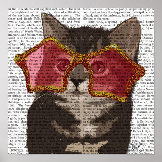 Kitten in Star Sunglazen Poster (Voorkant)