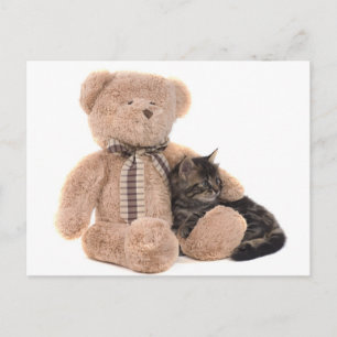 kitten in the arms of a teddy bear briefkaart
