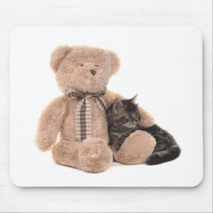 kitten in the arms of a teddy bear muismat