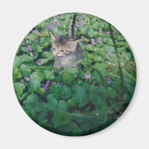 Kitten in Violets magneet