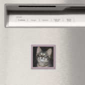 Kitten Innocence Magnet (Insitu (Vaatwasser))