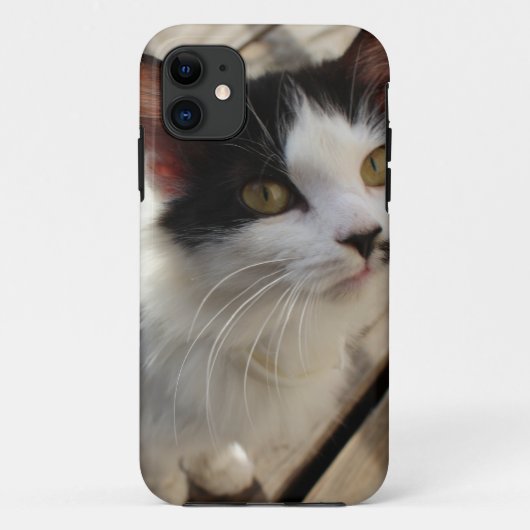 Kitten iphone case (Achterkant)